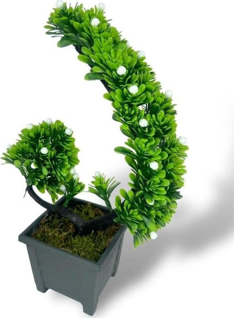 Yapay Çiçek Bonsai Ağacı Beyaz Eğik Model Dekoratif Yapay Ağaç Bonzai 30*22 cm Siyah Kare Saksıda