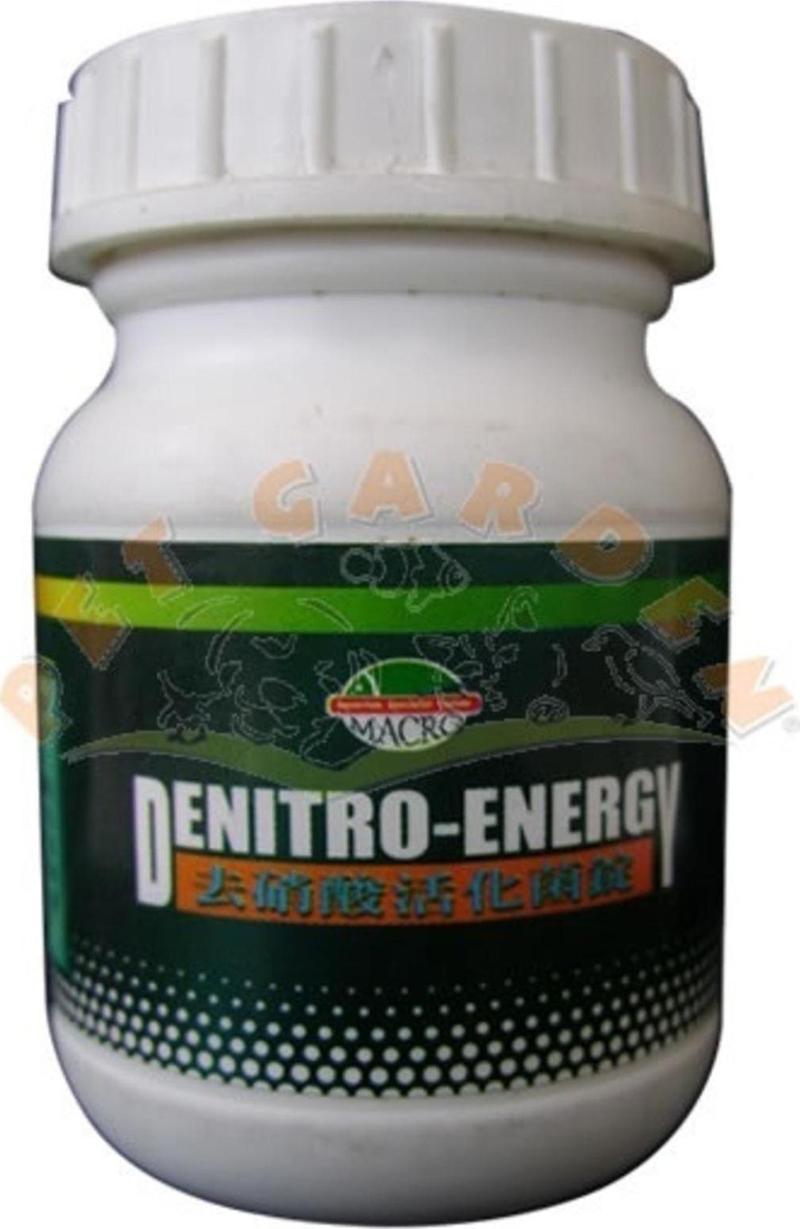 Denıtro Energy