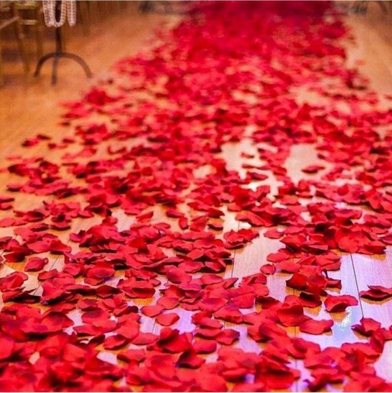 Sevgiliye Eşe Hediye 5000 Adet Kuru Gül Yaprağı, Romantik Süsleme Gül Yaprakları 10 Paket