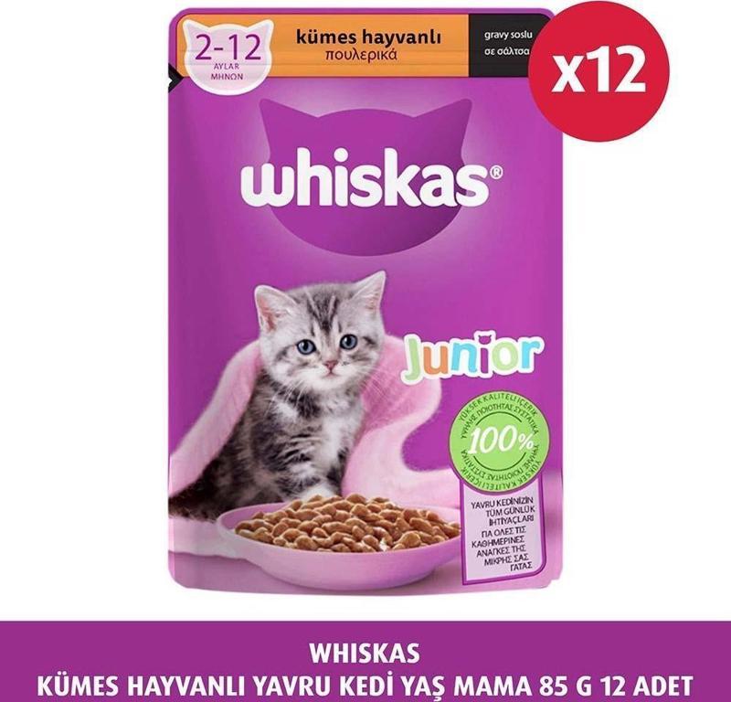 Kümes Hayvanlı Yavru Kedi Yaş Mama 85 G 12X