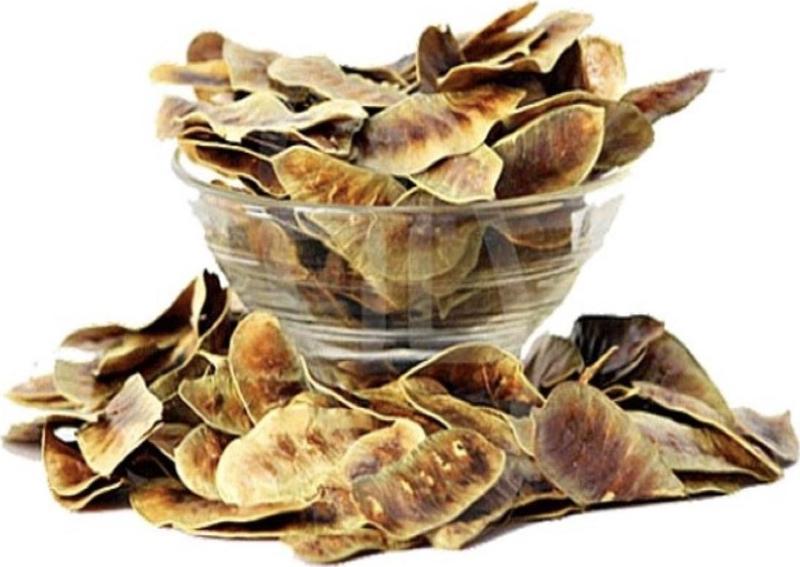 Açlık Otu 100 Gr