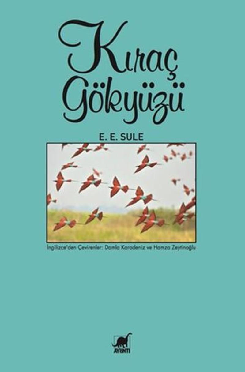 Ayrıntı Yayınları Kıraç Gökyüzü - E. E. Sule