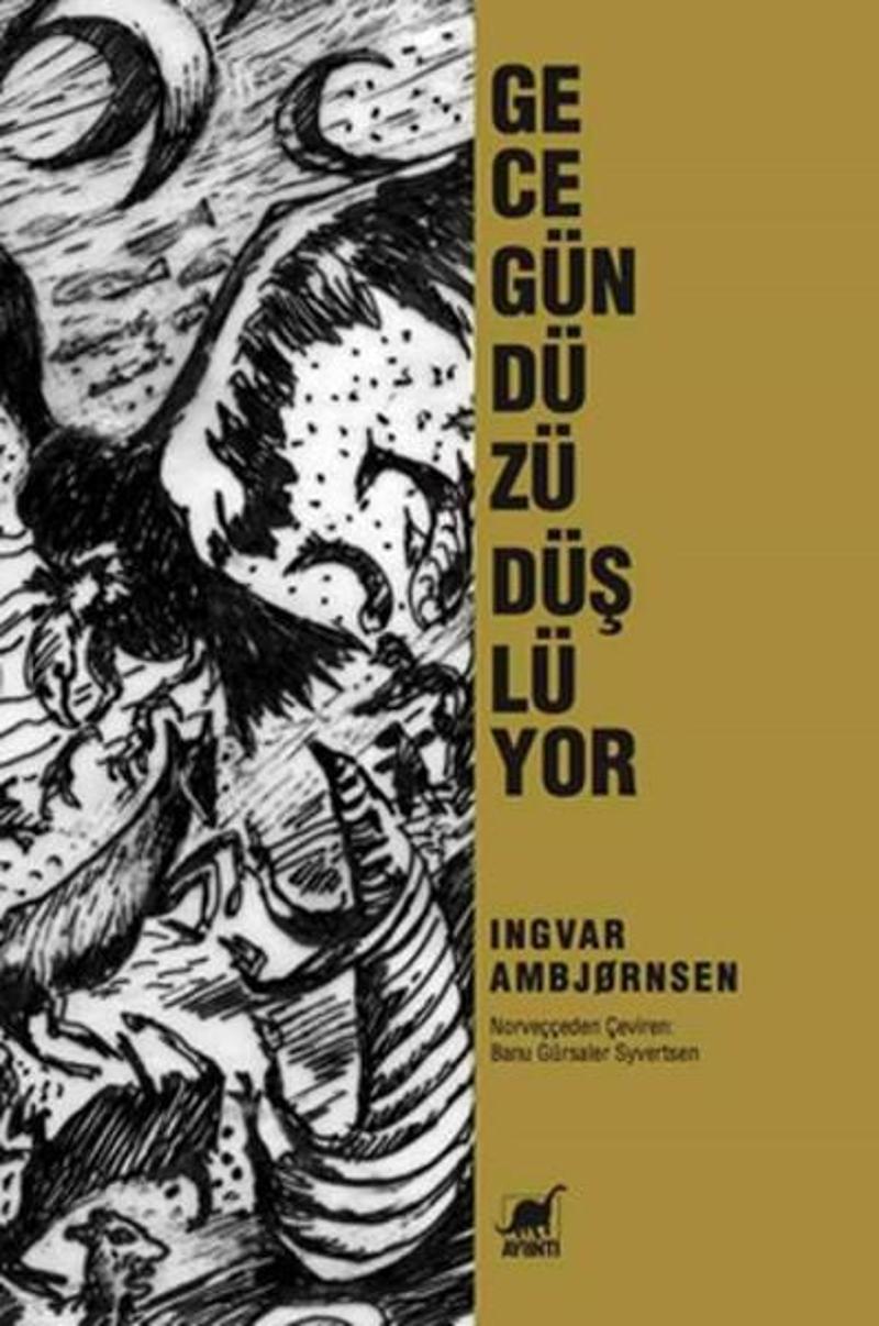 Ayrıntı Yayınları Gece Gündüzü Düşlüyor - Ingvar Ambjörnsen