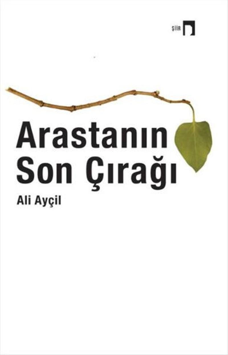Dergah Yayınları Arasta'nın Son Çırağı - Ali Ayçil