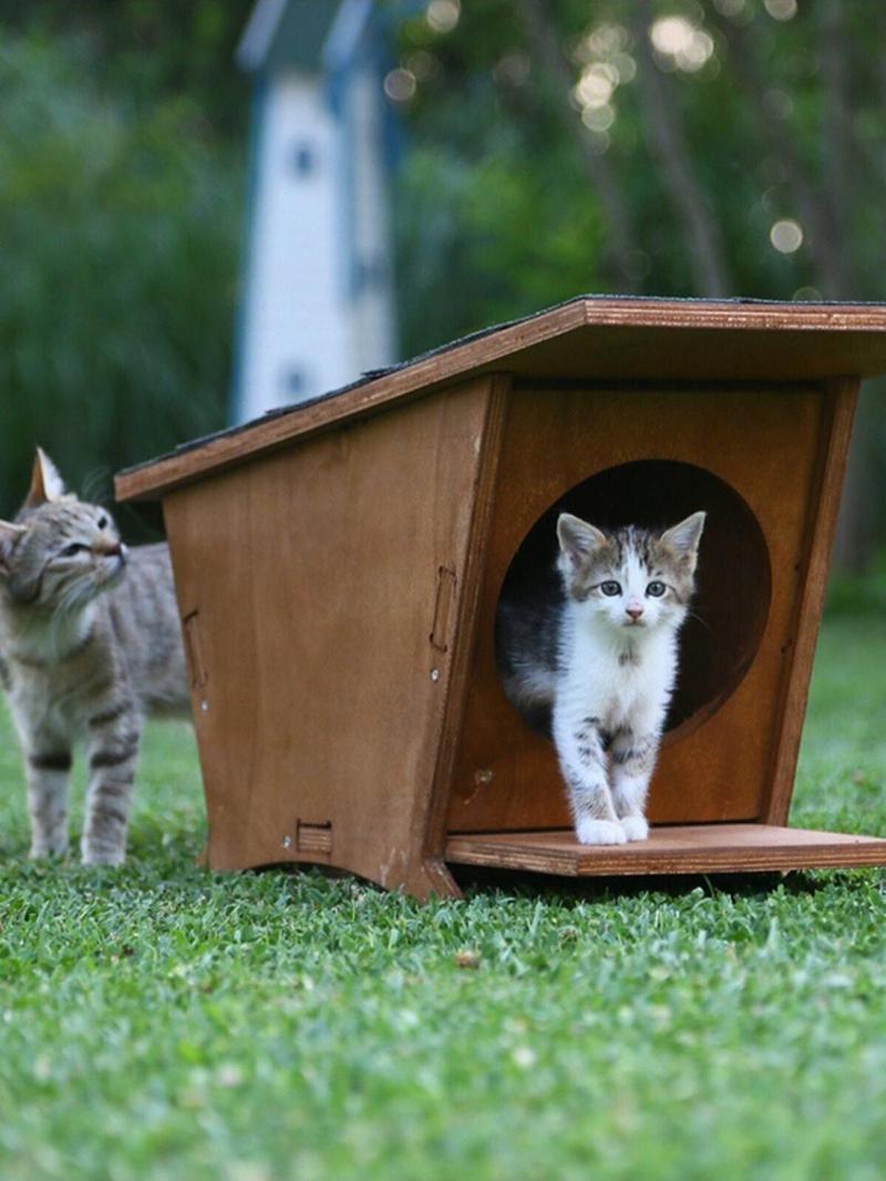 Ahşap Mini Kedi Evi (Yeni Doğan Evi)