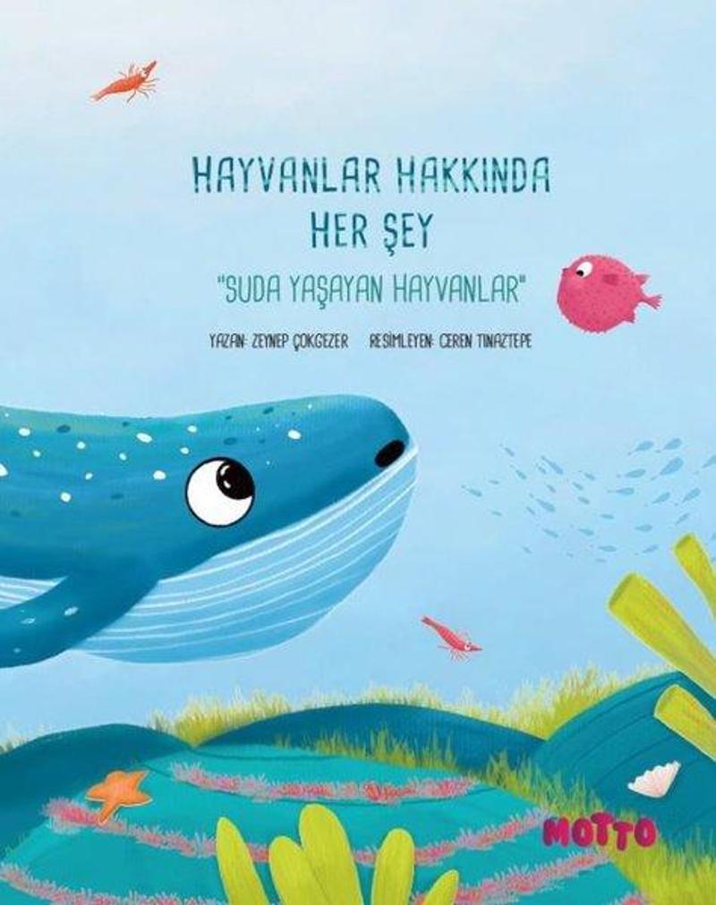 Motto Yayınları Hayvanlar Hakkında Her Şey - Suda Yaşayan Hayvanlar - Ceren Tinaztepe IR11117