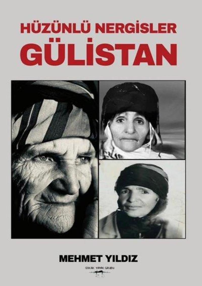 Sokak Kitapları Yayınları Hüzünlü Nergisler-Gülistan - Mehmet Yıldız