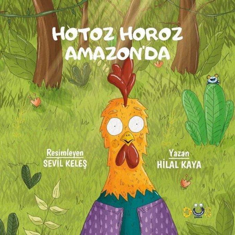 Düş Kurguları Yayınları Hotoz Horoz Amazon'da - Hilal Kaya