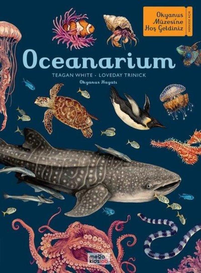 Oceanarium