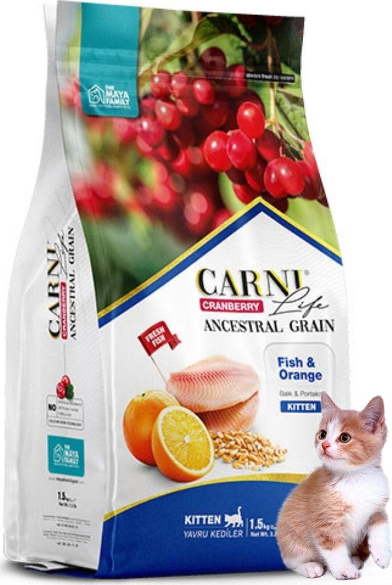 Cranberry Düşük Tahıllı Balık Ve Portakallı Yavru ( Kitten ) Kedi Maması