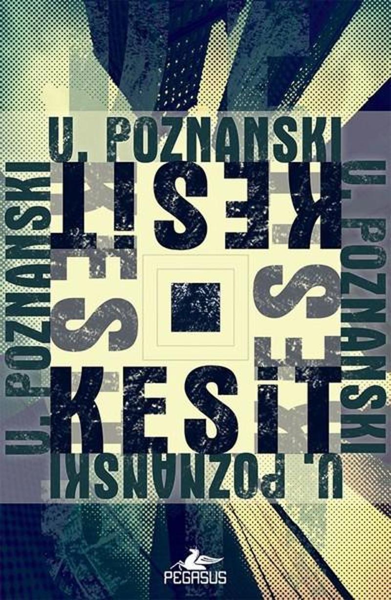 Pegasus Yayinevi Kesit - Ursula Poznanski