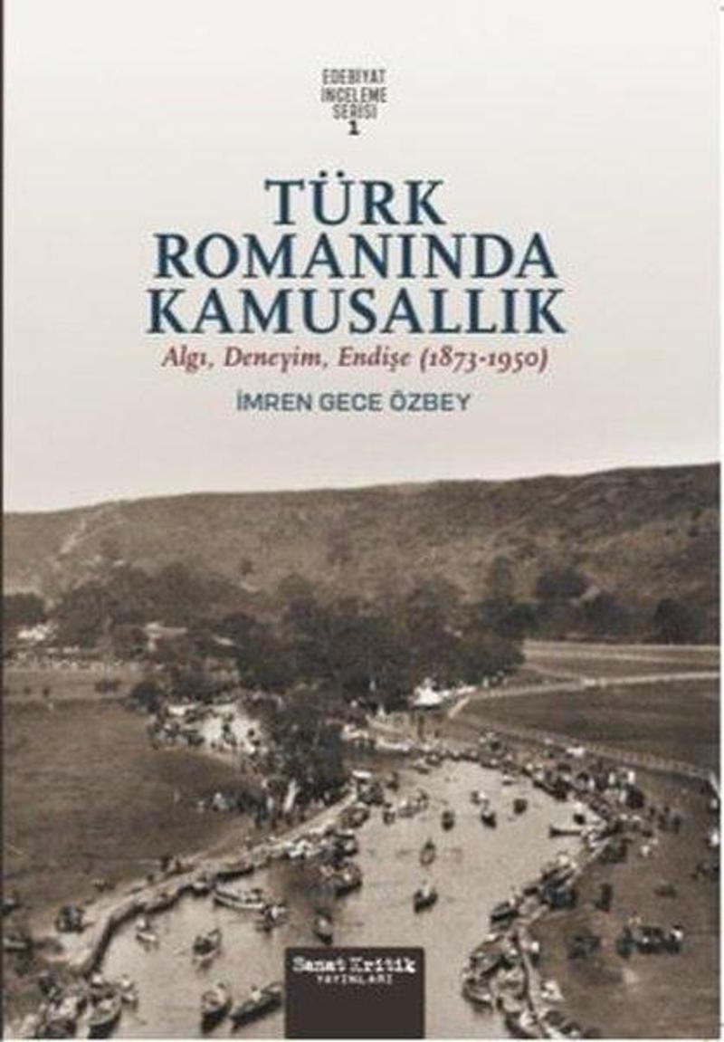 Türk Romanında Kamusallık: Algı, Deneyim, Endişe (1873 - 1950) Edebiyat İnceleme Serisi 1