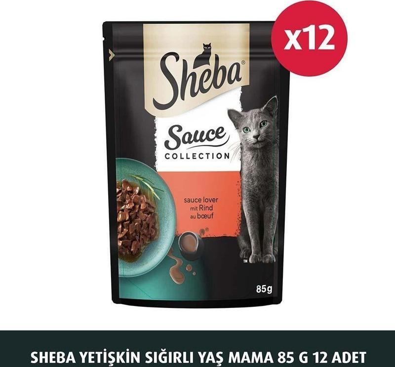 Yetişkin Sığırlı Yaş Mama 85 G 12X