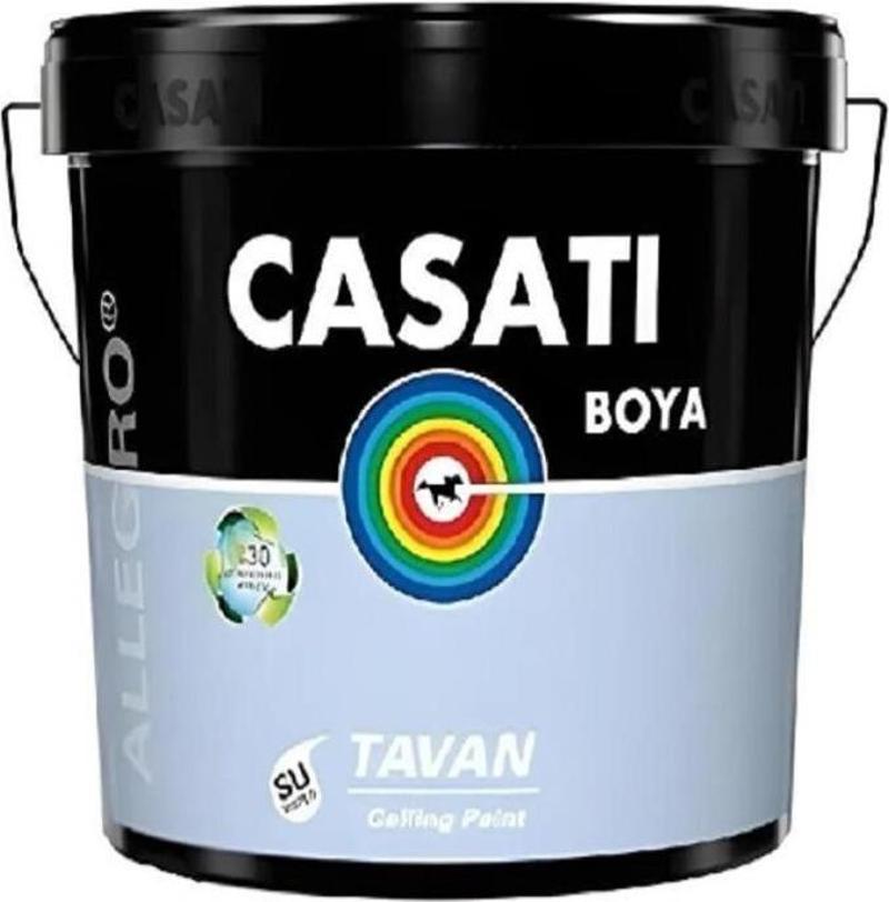 Allegro Tavan Boyası 10 Kg Beyaz