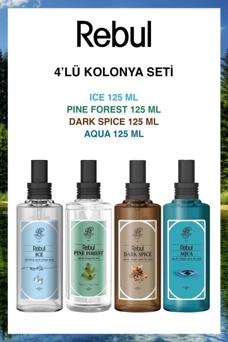 Aqua-Ice-Dark Spice-Pine Forest Plastik Şişe 125ml Set