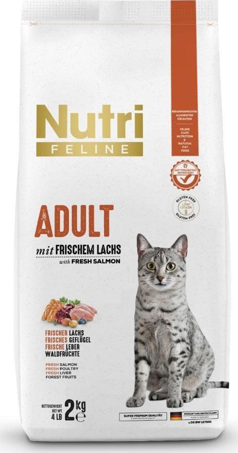 2Kg Yetişkin Somon Etli Adult Kedi Maması