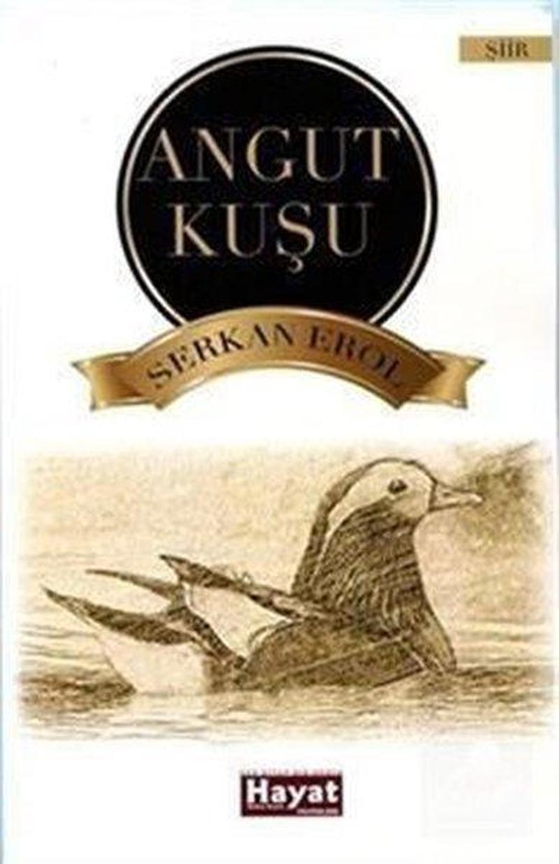 Angut Kuşu