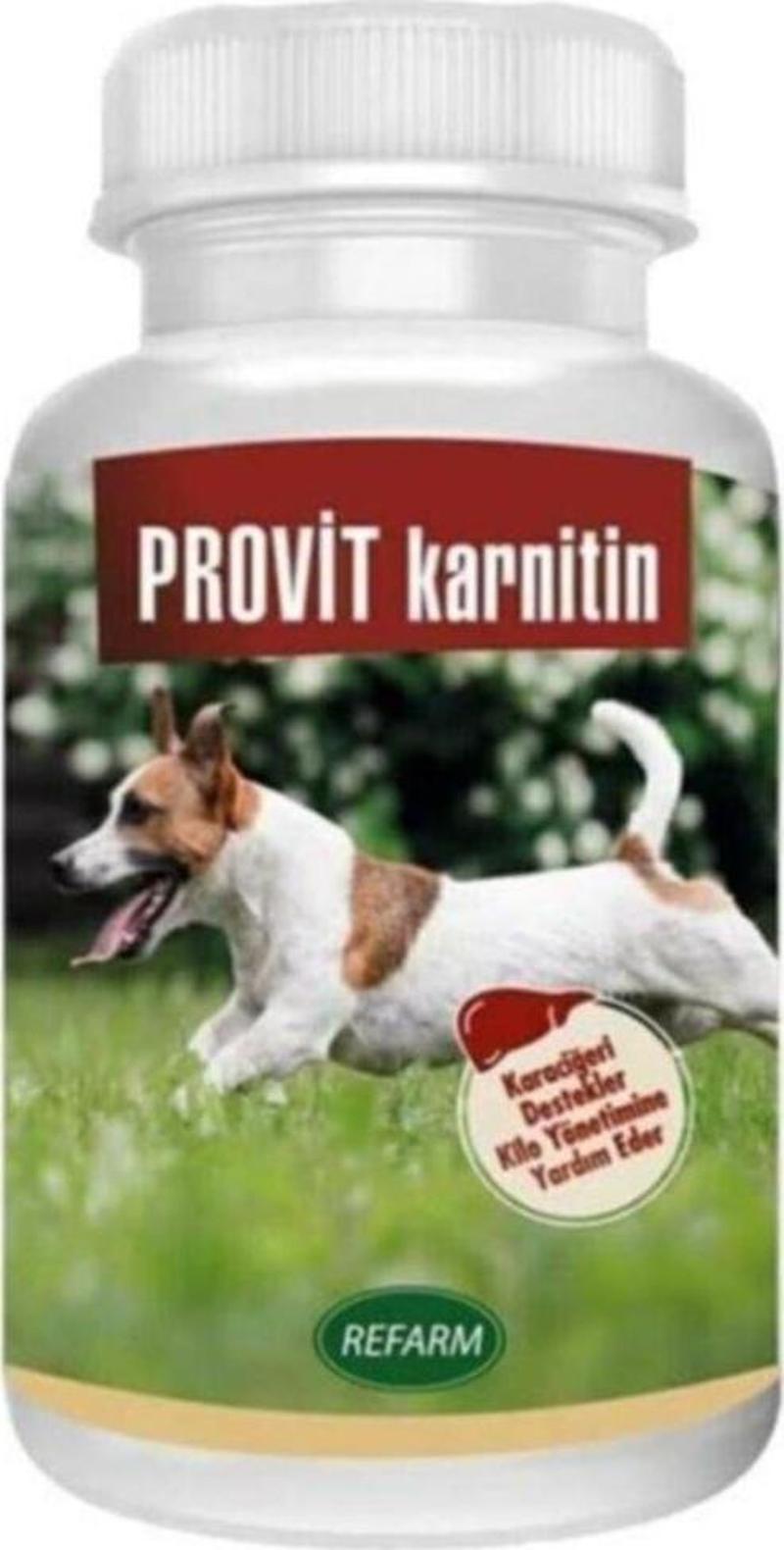 Provit Karnitin Köpek Karaciğer Destekleyici Toz 100 Gr