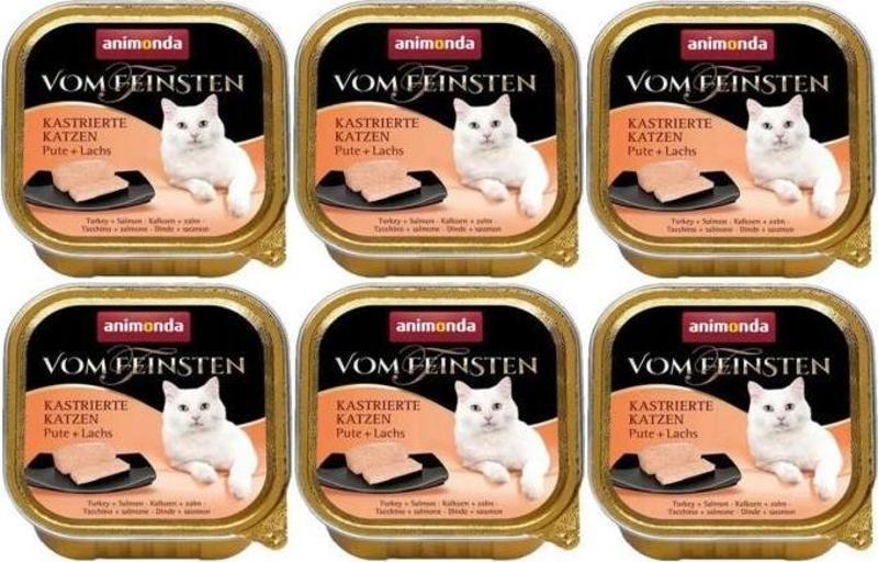 Kısır Kediler Hindi ve Somonlu Kedi Konserve 100 gr 6 Adet