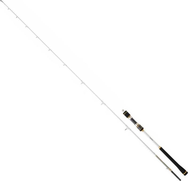 New Megaforce 2.10cm 90-210gr 2P Jig Olta Kamışı