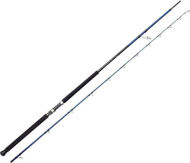 SGS6 Shore Jigging 10'/3.05m 30-100 gr 2 Parça