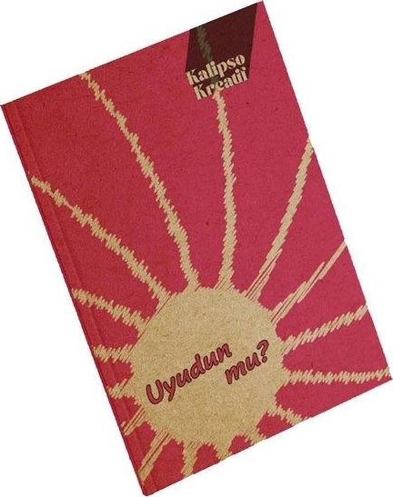 Uyudun Mu 13x20 196 Sayfa Çizgisiz Butik Defter