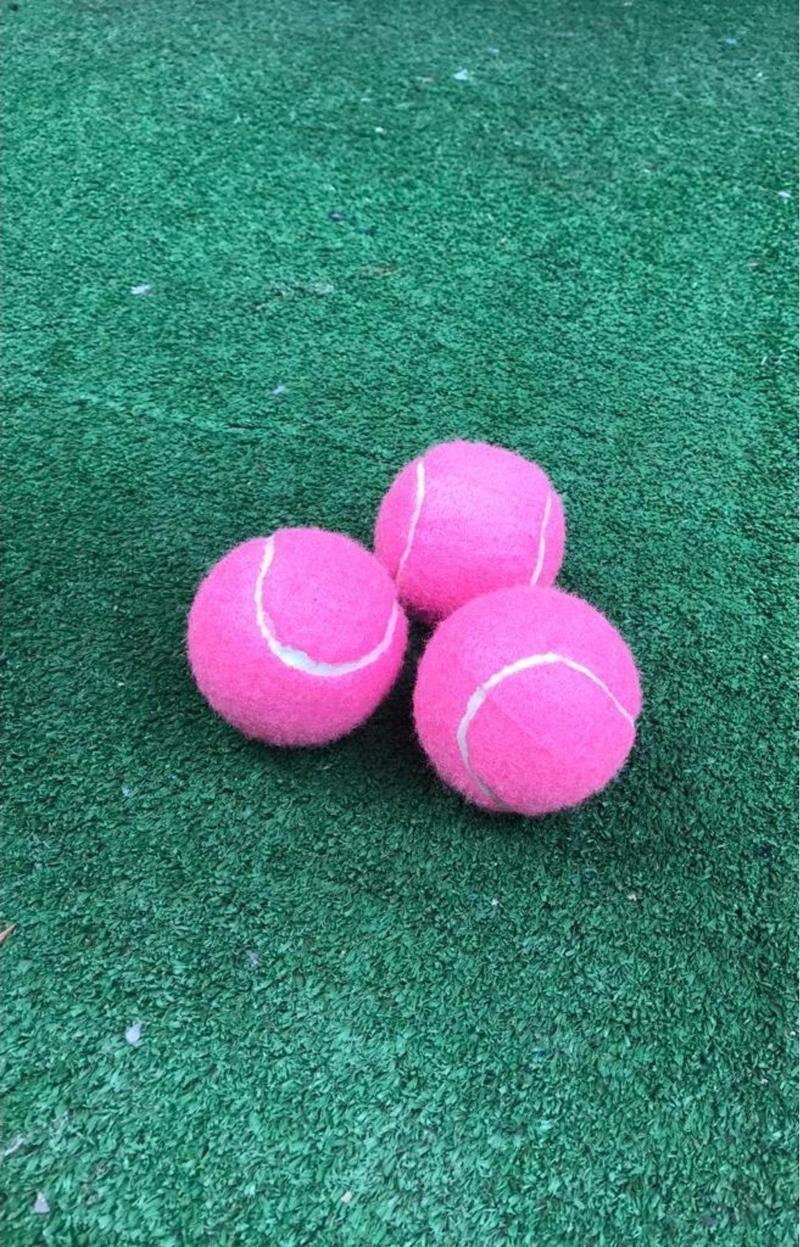 3 Adet Antrenman Tenis Topu Pembe