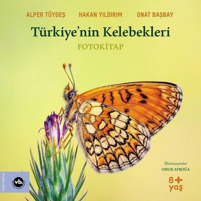 VakıfBank Kültür Yayınları Türkiye'nin Kelebekleri - Alper Tüydeş