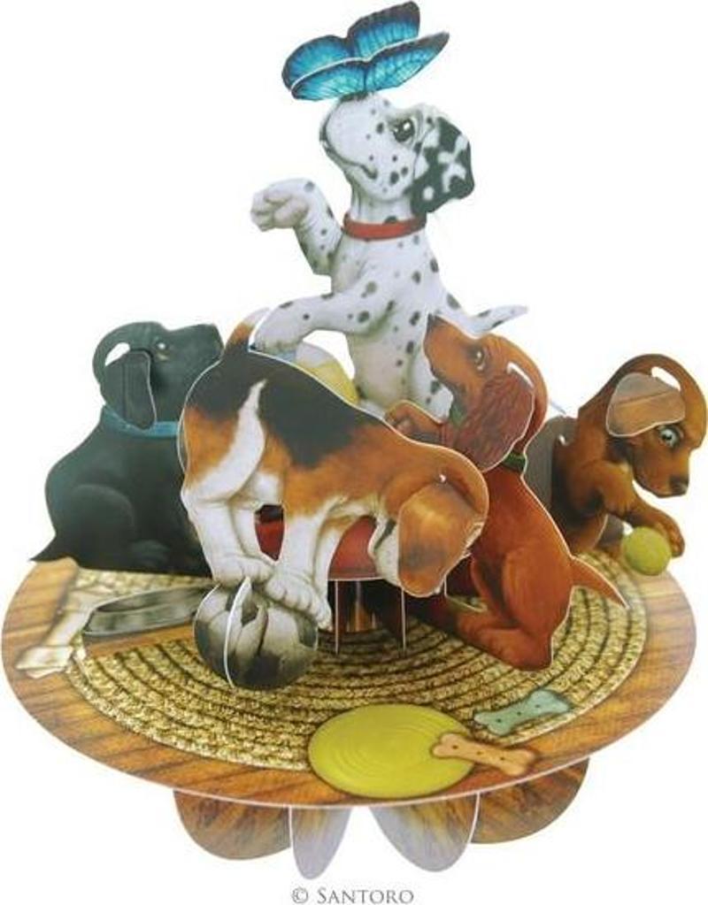 Santoro Gc - Pirouettes - Playful Puppies Ps007