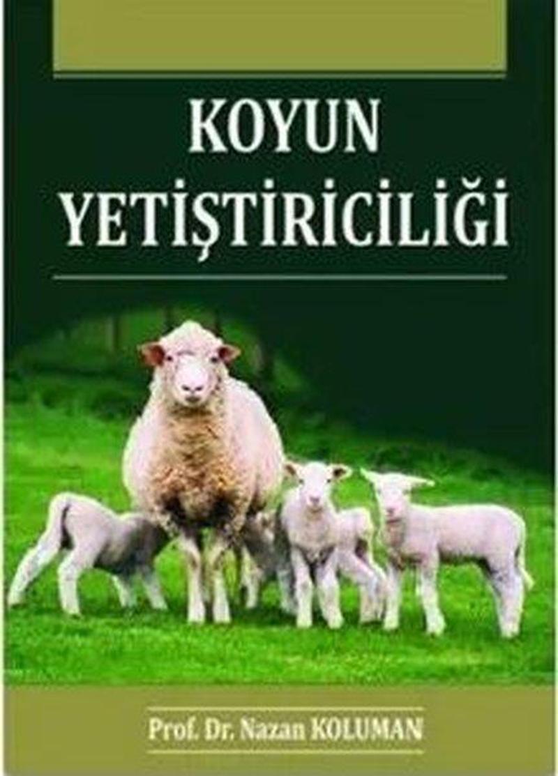 Koyun Yetiştiriciliği