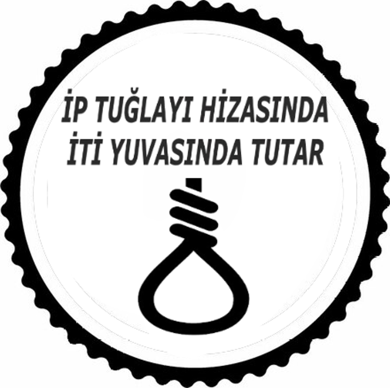 İp Tuğlayı Hizada İti Yuvada Tutar Tasarım Sticker 40 x 40 cm