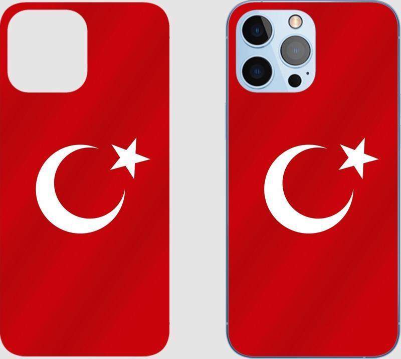 Samsung Galaxy Nexus 19250 Türk Bayrağı Arka Kaplama