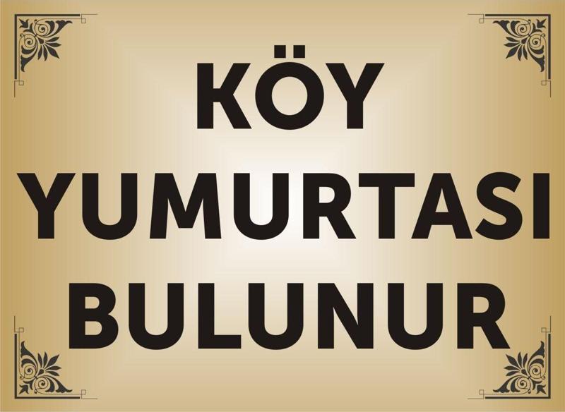 Köy Yumurtası Bulunur Levhası , Aliminyum Gold Parlak Renkli Metal Levha 19X26Cm