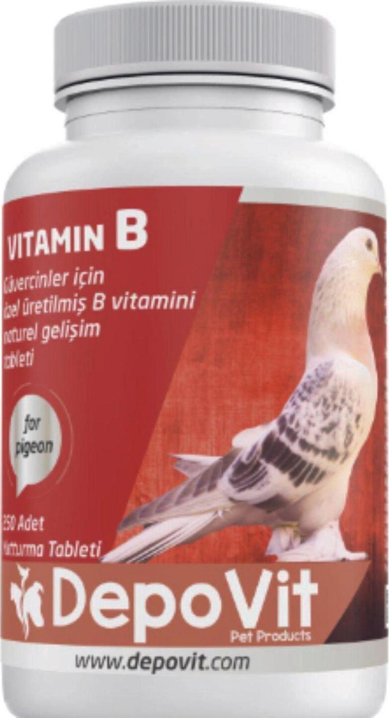 B Vitamin Kompleksi 250 Adet