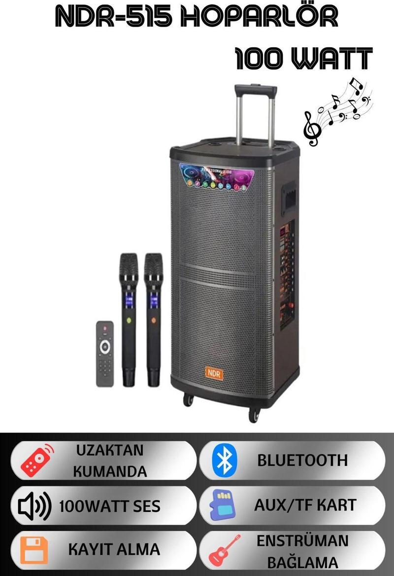 NDR-515 15" 100 Watt Taşınabilir Karaoke Ses Sistemi Bluetooth Hoparlör + Kumanda + Çift Mikrofon