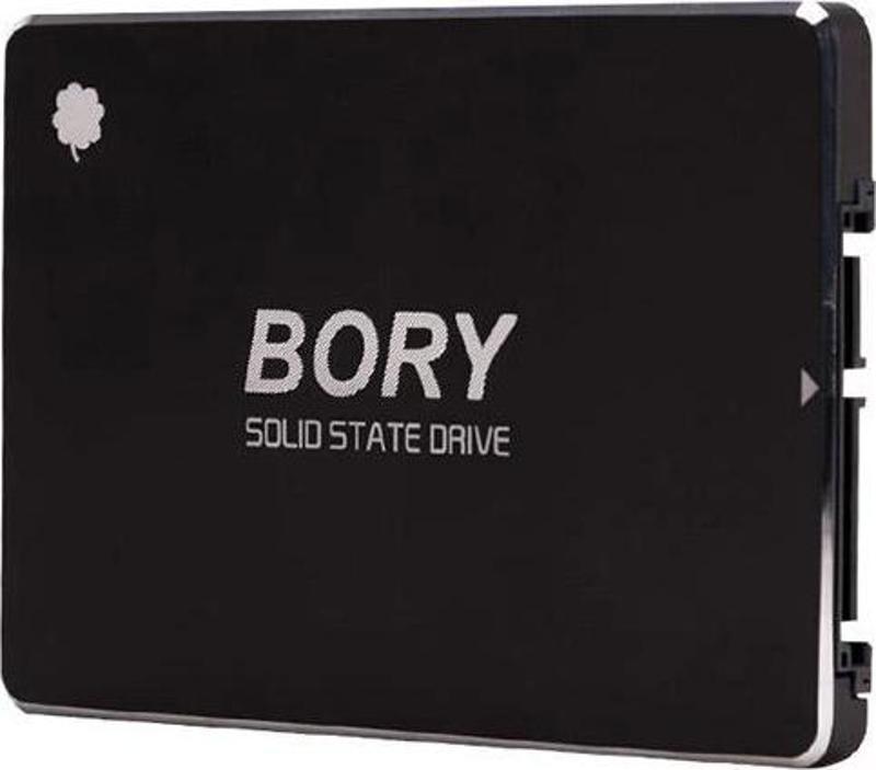 1 Tb Bory Sata3 R500-c1t Ssd 550/510 Mbs (3 Yıl Garantili)