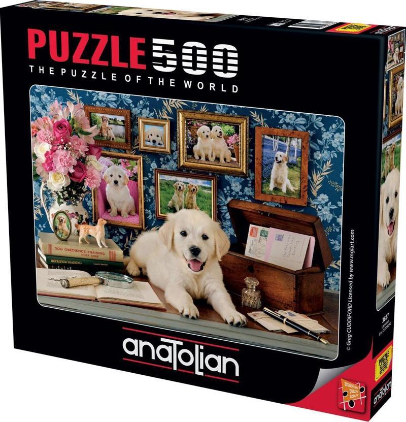 500 Parçalık Puzzle / Labrador - Kod 3637