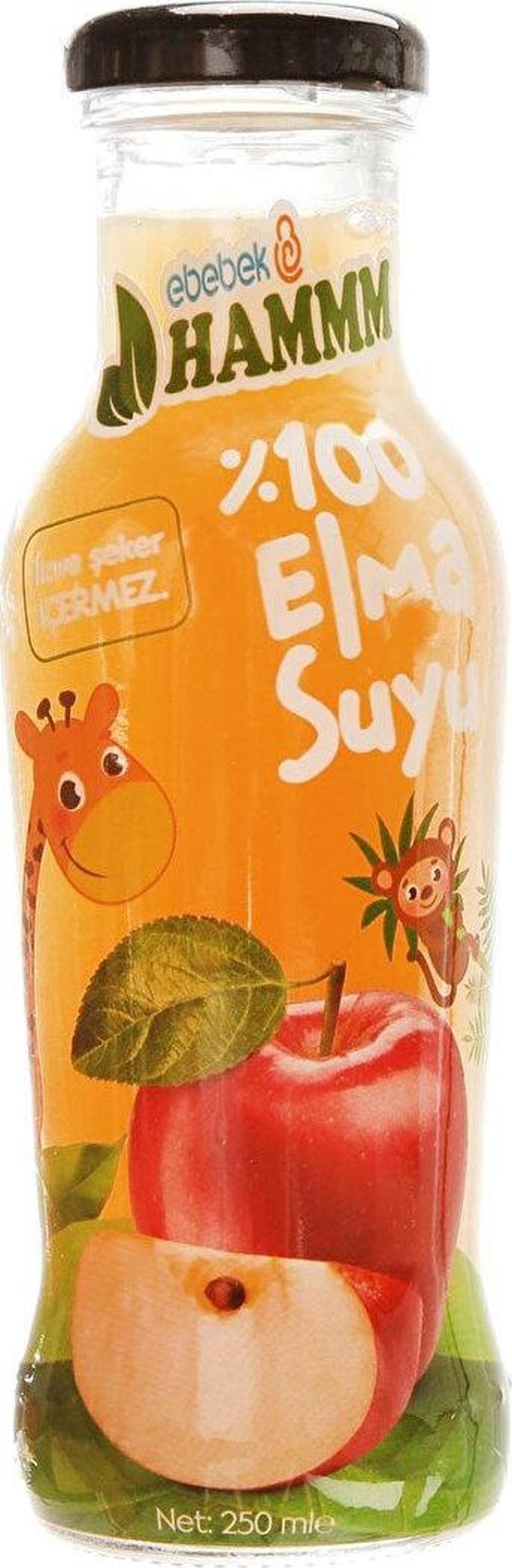 Elma Suyu 250 ml