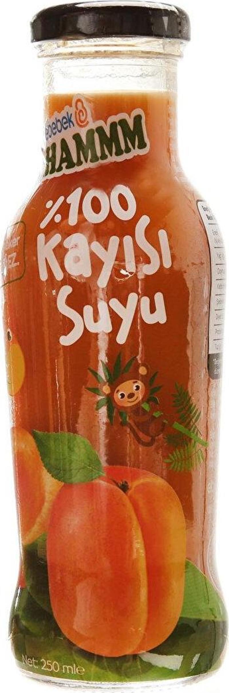 Kayısı Suyu 250 ml