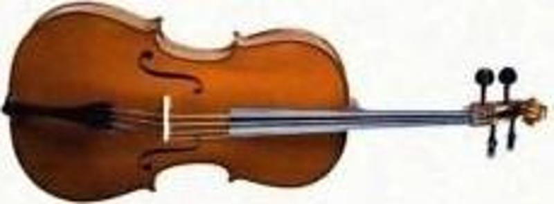 CE160F34 CELLO 3/4 SCALE +KILIF+YAY, KARARTILMIŞ AKÇAAĞAÇ B