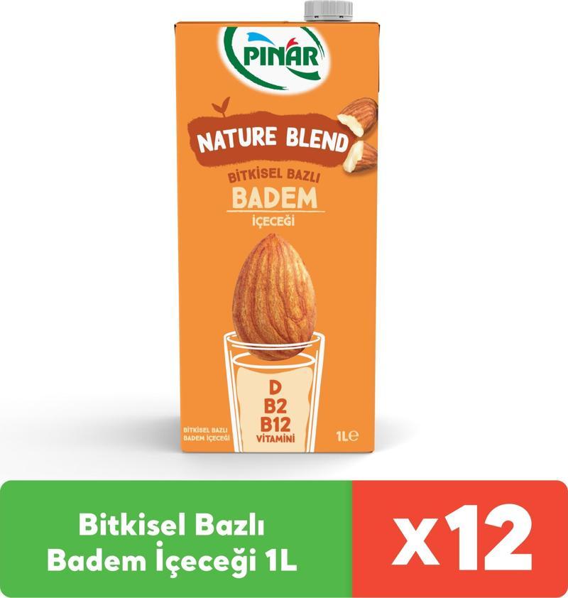 Nature Blend Bitkisel Bazlı Badem İçeceği 1 L Vegan Laktozsuz x 12 Adet