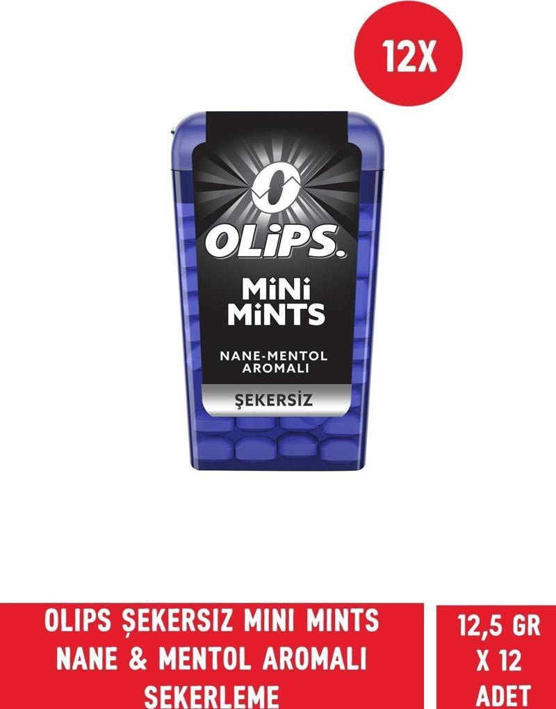 Mini Mints Şekersiz Nane & Mentol Aromalı Şekerleme 12,5 gr - 12 Adet