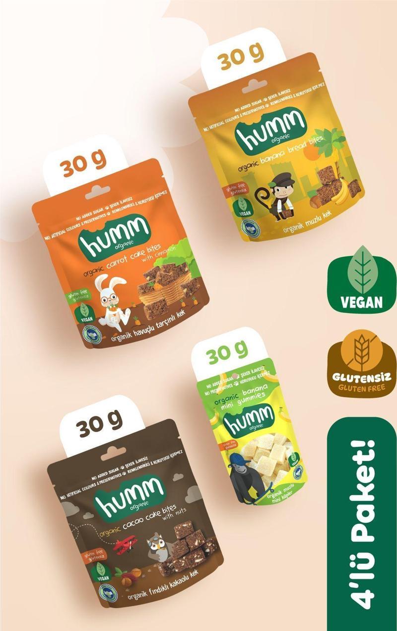 Organik Glutensiz Vegan Meyveli Küp & Kek Atıştırmalık Paketi - 30 G X 4 adet (4 çeşit)