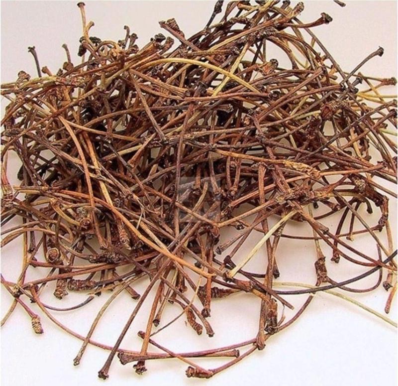 Dökme Bitkiler Kiraz Sapı -100 Gr