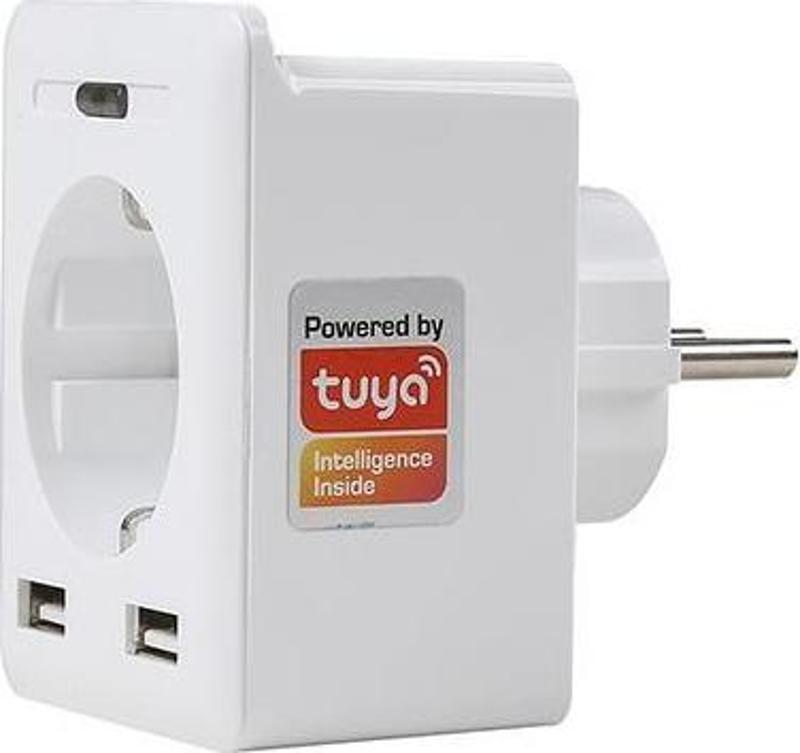 Swapp SL-04 10A Akım Korumalı Akıllı Priz 2 USB 2.4 Ghz Wifi TUYA Destekli