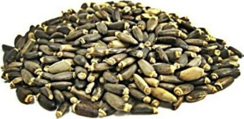 Deve Dikeni Tohumu 100 Gr