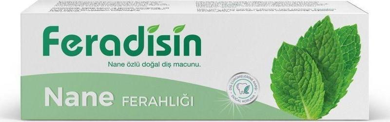 Diş Macun Nane Ferahlığı 90Gr