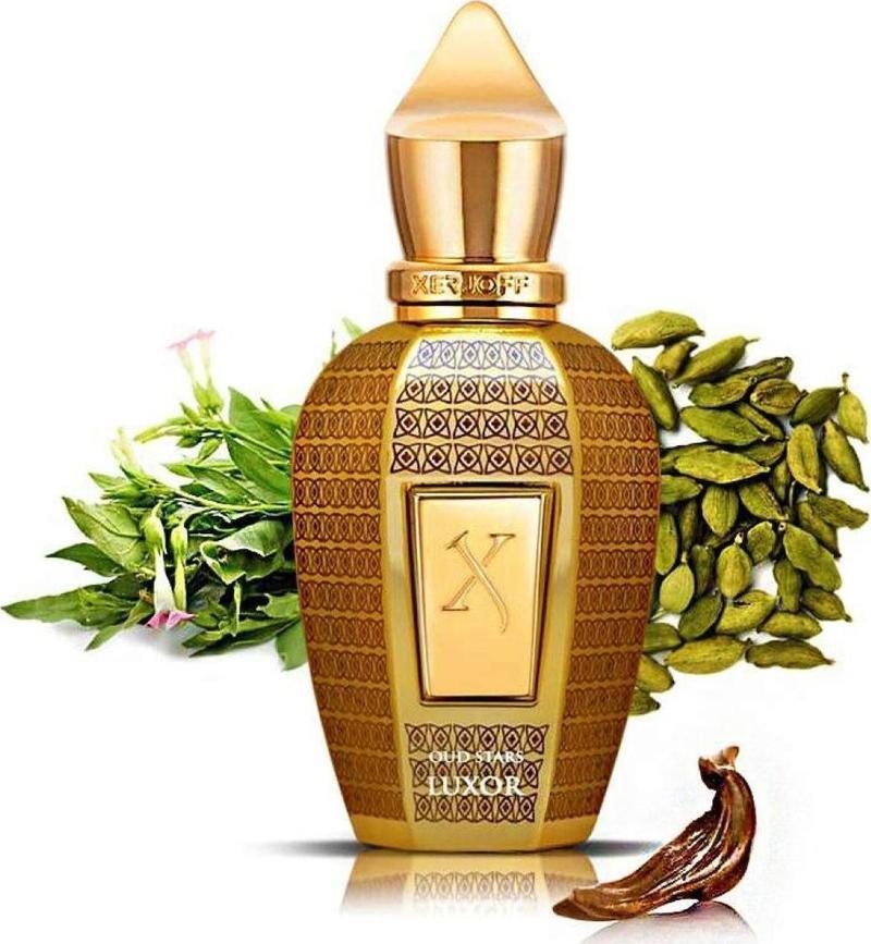 OUD STARS LUXOR 100 ML