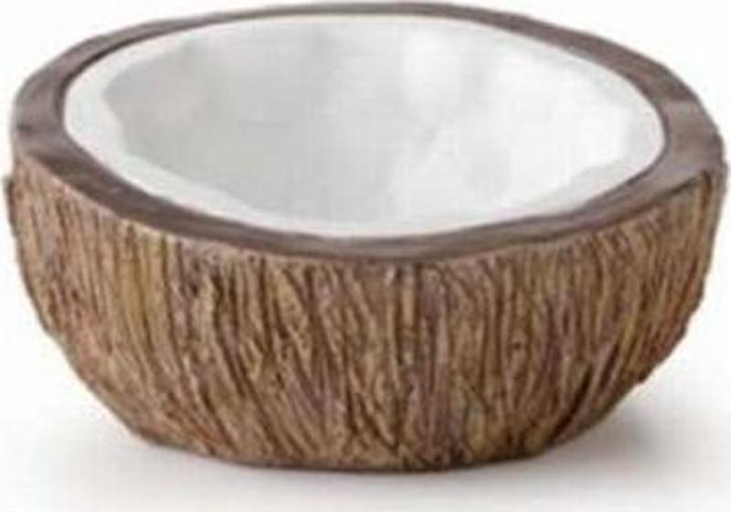 Ex Coconut Water Dish Sürüngen Su Kabı