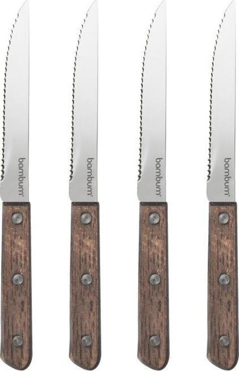 Rengeti 4 Parça Steak Bıçağı B0439
